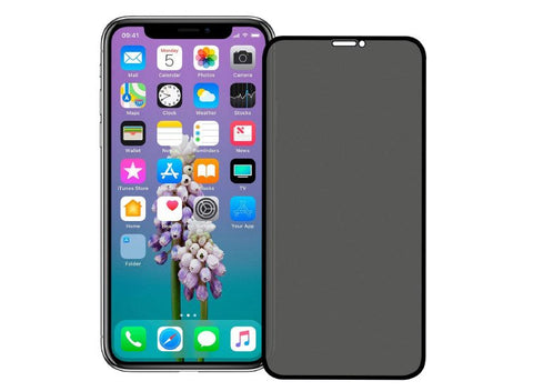 Folie din Sticla, Full Glue, iPhone XS Max/ 11 Pro Max, Privacy